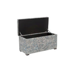 Transitional Living Room Storage Trunk Bench